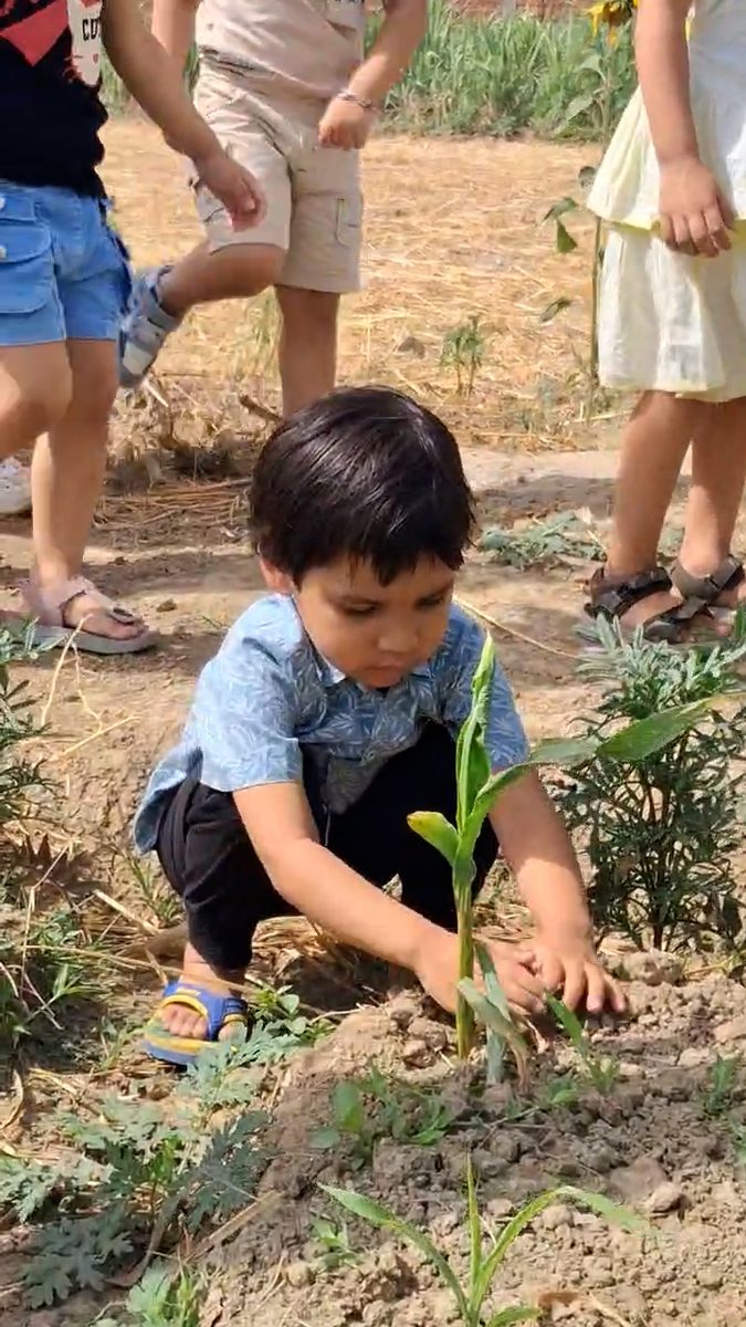 A child crouching in the field, both hands pressing the earth around a sapling, other children's feet around him.