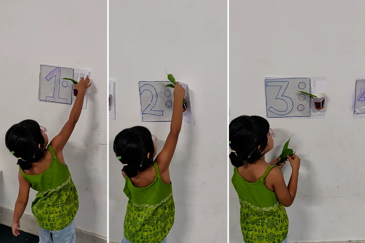 A child reaching up to hand-drawn cards on a wall, one numbered 1, one 2, one 3, each with that many dots beside the numeral, putting a leaf on each in turn.