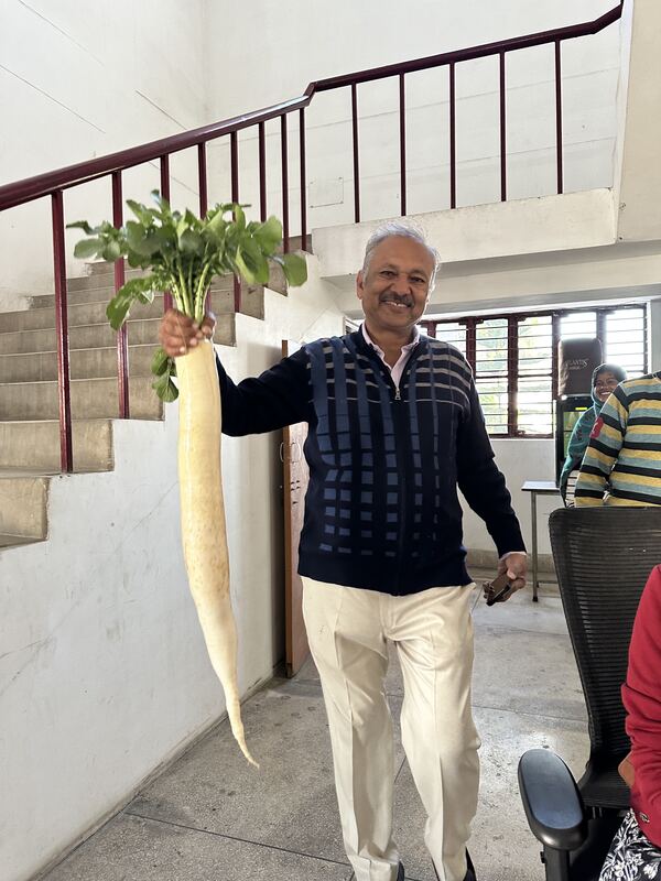 Pradeep Jain on a staircase, holding up a very long white radish with its leaves.